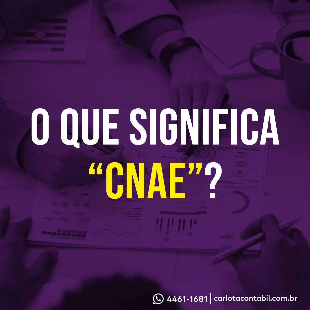 O que é CNAE?